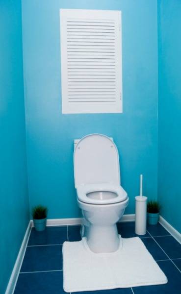 Как покрасить туалет в квартире: инструменты и материалы, подготовительные  ... - фото