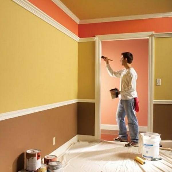 Правила выбора: краска для стен и потолков - фото