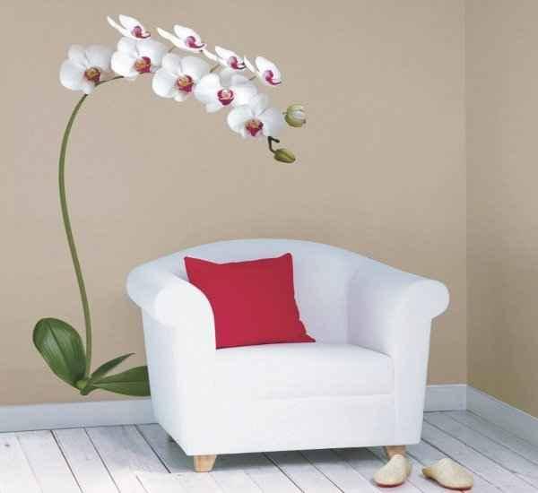 Обои с орхидеями для стен: фото в интерьере с фото