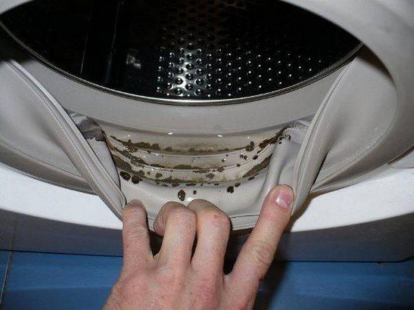 Вредная плесень в стиральной машине: 4 способа, как избавиться с фото
